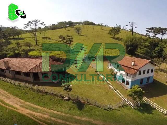 #023 - Fazenda para Venda em Santo Antônio do Pinhal - SP - 2