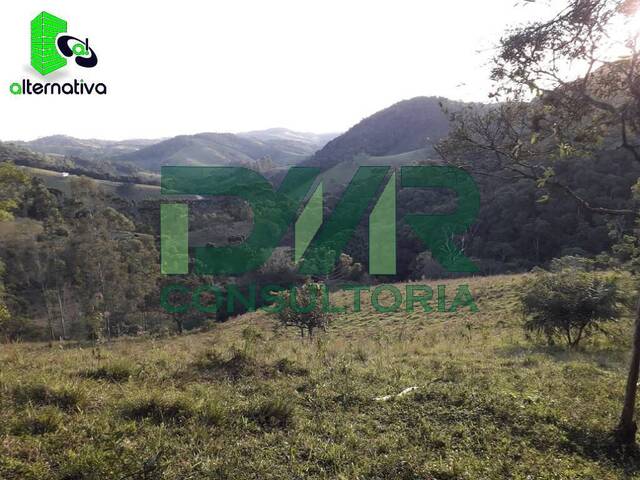 Chácara para Venda em Santo Antônio do Pinhal - 4
