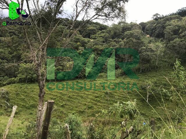 Chácara para Venda em Santo Antônio do Pinhal - 5