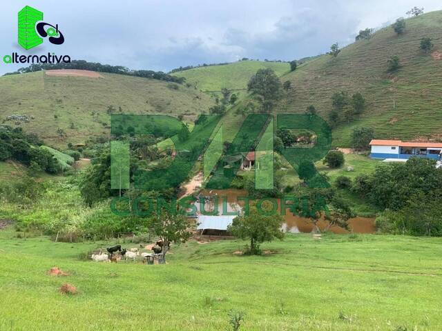 #065 - Sítio para Venda em Redenção da Serra - SP - 2