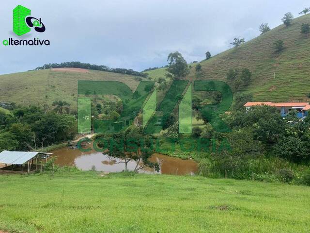 #065 - Sítio para Venda em Redenção da Serra - SP - 3