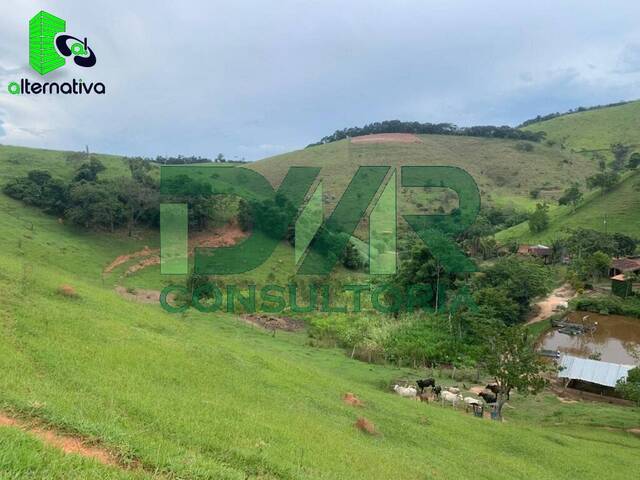 Sítio para Venda em Redenção da Serra - 5