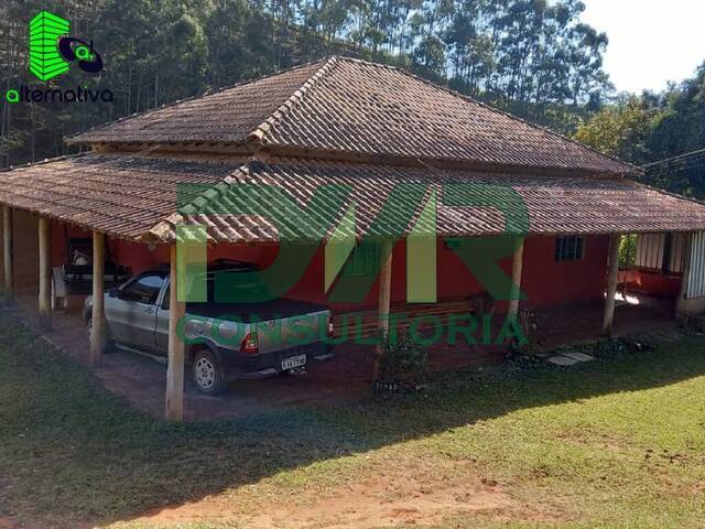 #099 - Sítio para Venda em Cunha - SP - 3