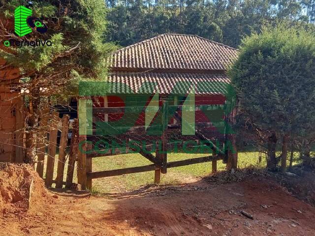 #099 - Sítio para Venda em Cunha - SP - 2