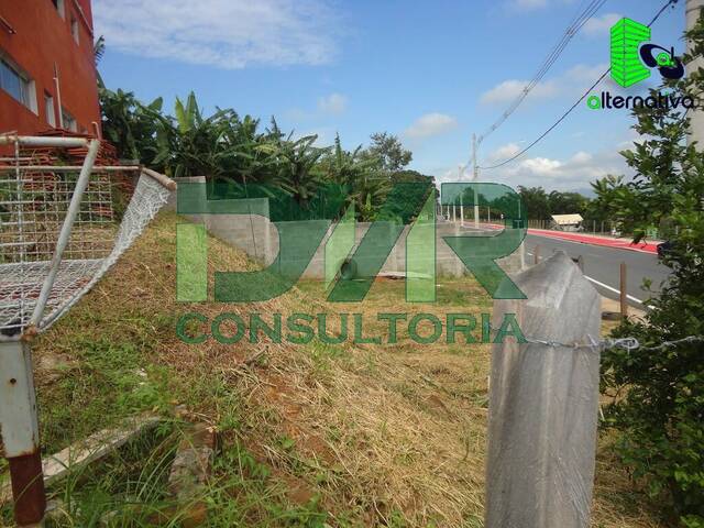#248 - Terreno para Venda em Taubaté - SP - 3