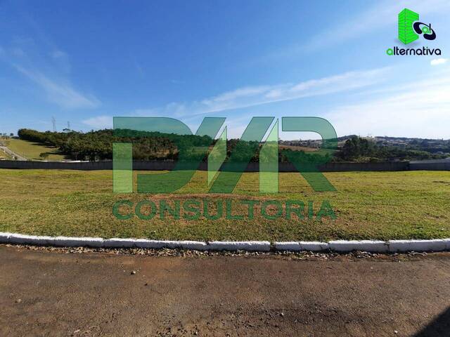 #269 - Terreno para Venda em Taubaté - SP - 3